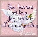 Till stj�rnljus